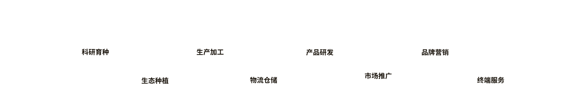 image-品牌故事